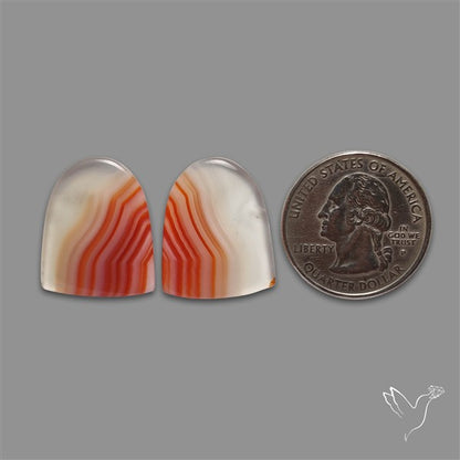 Lake Superior Agate Pair