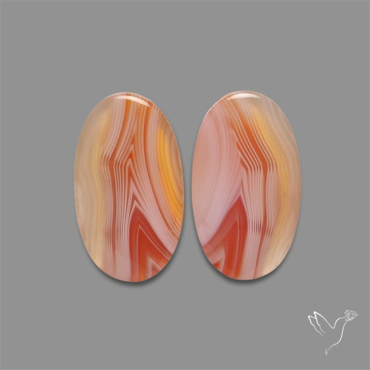 Lake Superior Agate Pair