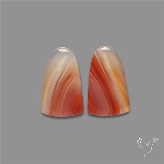 Lake Superior Agate Pair