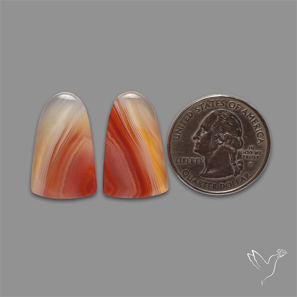 Lake Superior Agate Pair