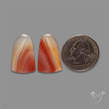 Lake Superior Agate Pair