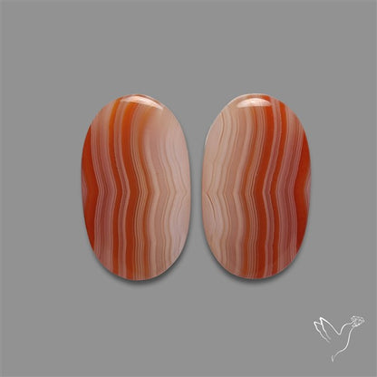 Lake Superior Agate Pair