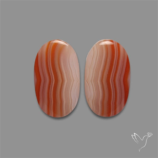 Lake Superior Agate Pair