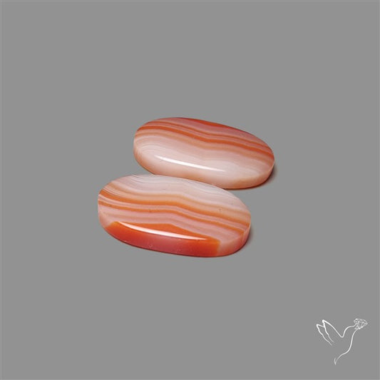 Lake Superior Agate Pair