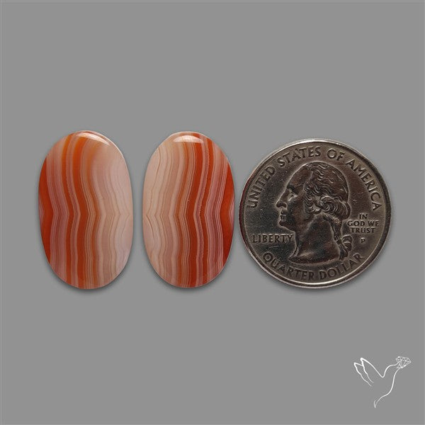 Lake Superior Agate Pair