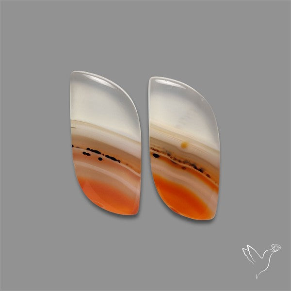 Lake Superior Agate Pair