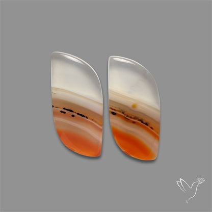 Lake Superior Agate Pair