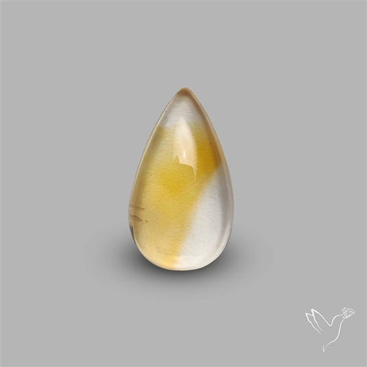 Bicolor Citrine Cabochon High Domed