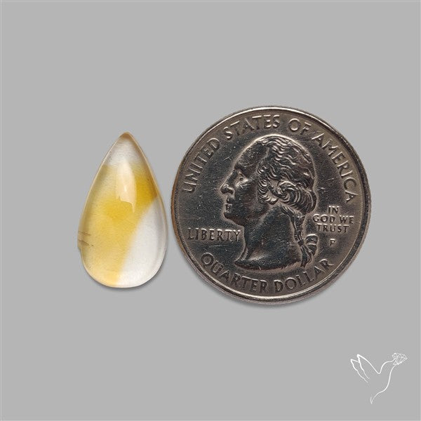 Bicolor Citrine Cabochon High Domed