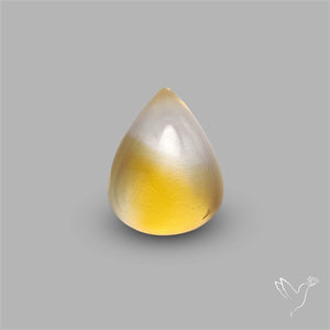 Bicolor Citrine Cabochon High Domed