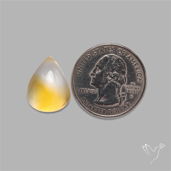 Bicolor Citrine Cabochon High Domed