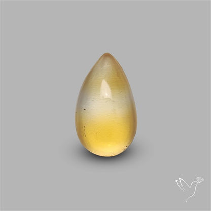 Bicolor Citrine Cabochon High Domed