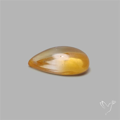 Bicolor Citrine Cabochon High Domed