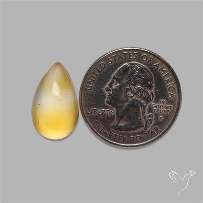 Bicolor Citrine Cabochon High Domed