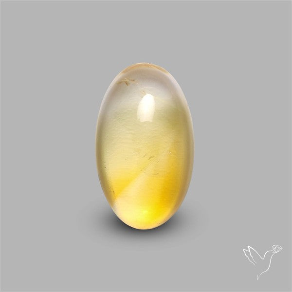 Bicolor Citrine Cabochon High Domed