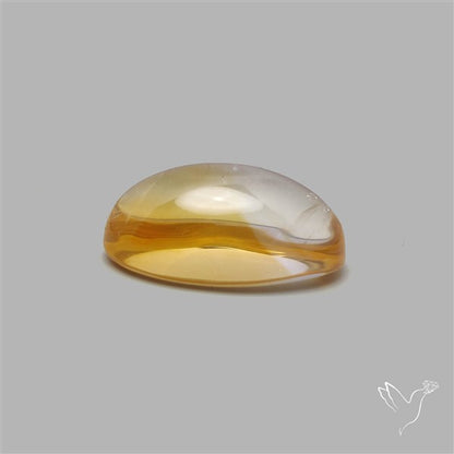 Bicolor Citrine Cabochon High Domed