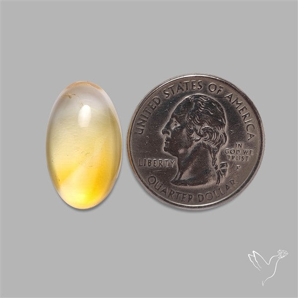 Bicolor Citrine Cabochon High Domed