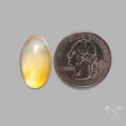 Bicolor Citrine Cabochon High Domed
