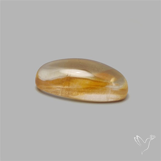 Bicolor Citrine Cabochon High Domed