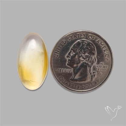 Bicolor Citrine Cabochon High Domed