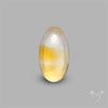 Bicolor Citrine Cabochon High Domed