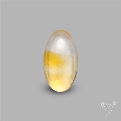 Bicolor Citrine Cabochon High Domed