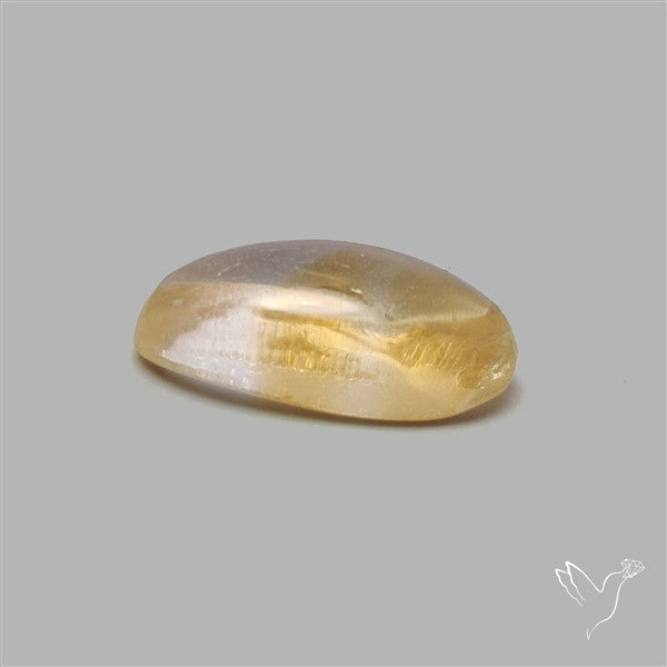 Bicolor Citrine Cabochon High Domed