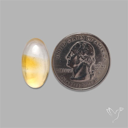Bicolor Citrine Cabochon High Domed