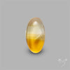 Bicolor Citrine Cabochon High Domed