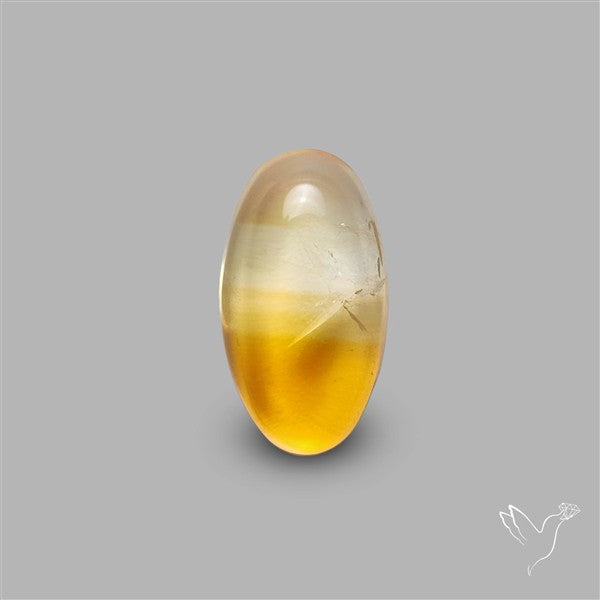 Bicolor Citrine Cabochon High Domed