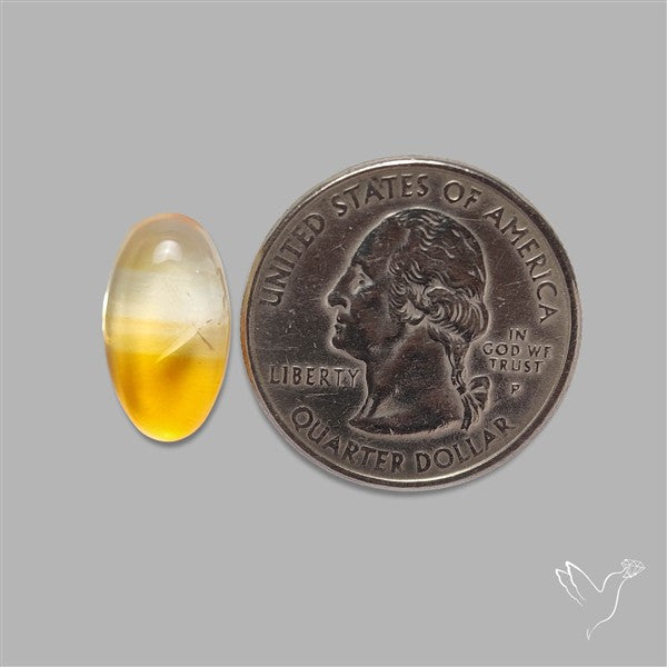 Bicolor Citrine Cabochon High Domed
