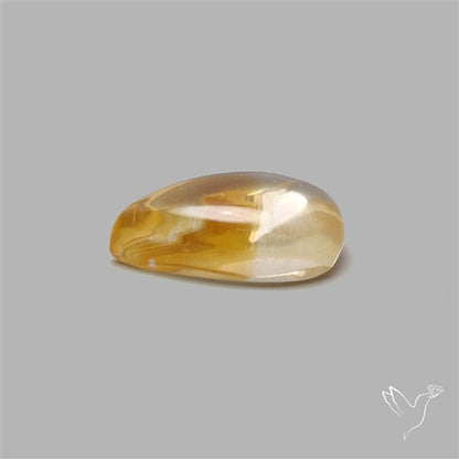 Bicolor Citrine Cabochon High Domed