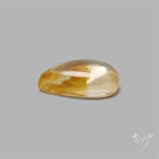 Bicolor Citrine Cabochon High Domed