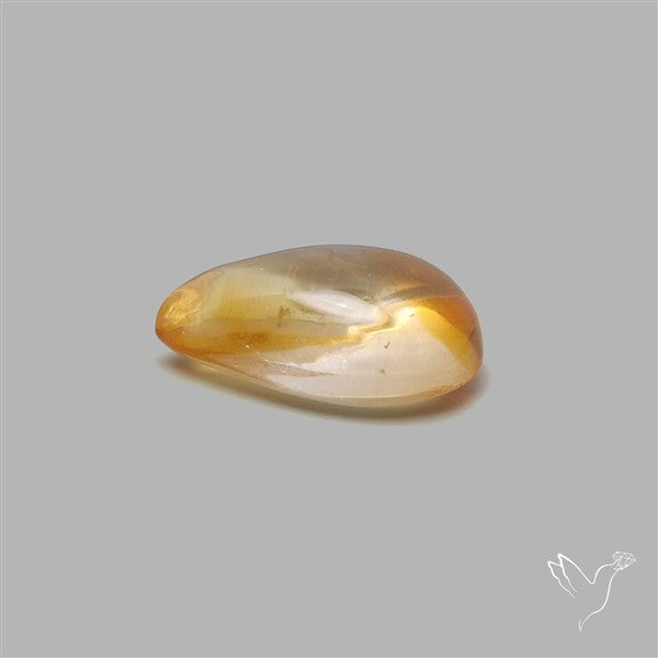 Bicolor Citrine Cabochon High Domed