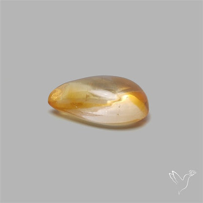 Bicolor Citrine Cabochon High Domed
