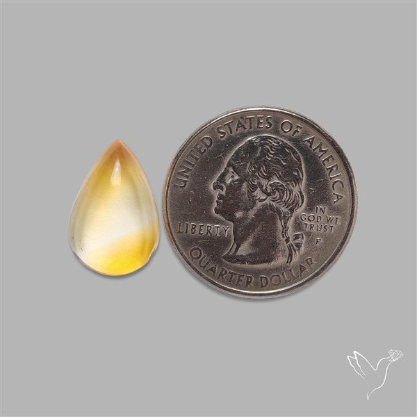 Bicolor Citrine Cabochon High Domed