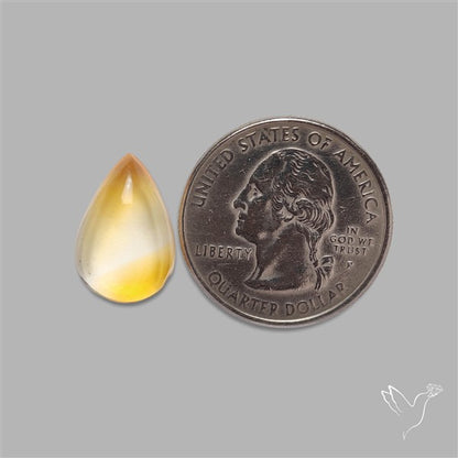 Bicolor Citrine Cabochon High Domed