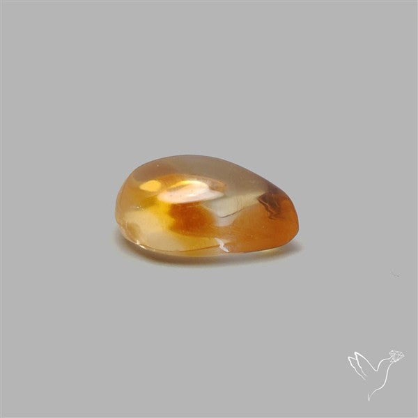 Bicolor Citrine Cabochon High Domed