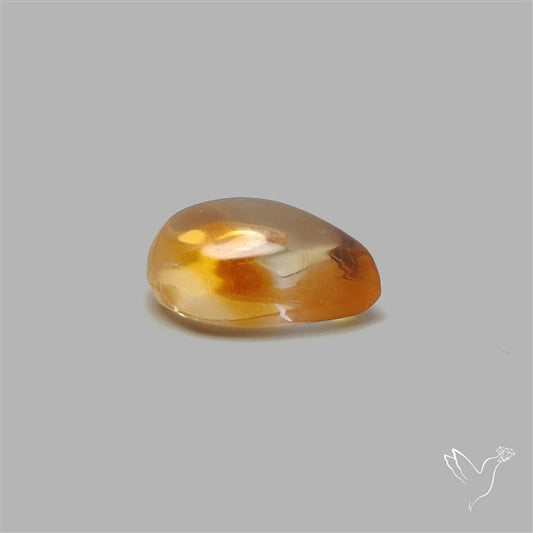Bicolor Citrine Cabochon High Domed
