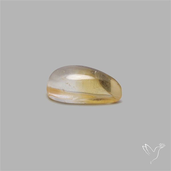Bicolor Citrine Cabochon High Domed