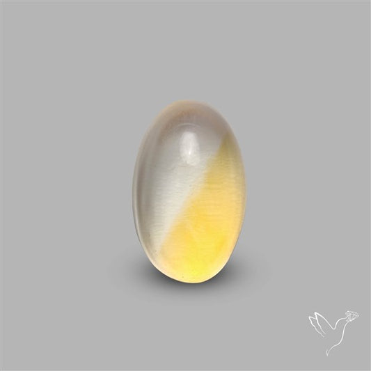 Bicolor Citrine Cabochon High Domed
