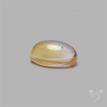 Bicolor Citrine Cabochon High Domed
