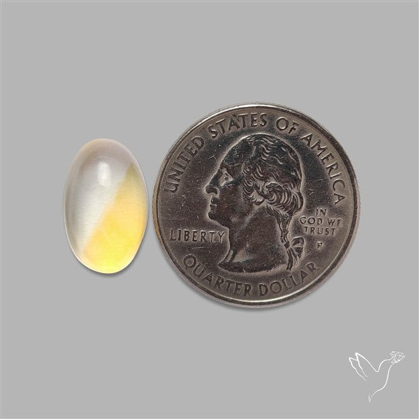 Bicolor Citrine Cabochon High Domed