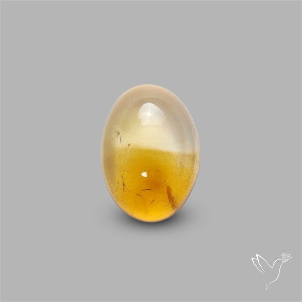 Bicolor Citrine Cabochon High Domed