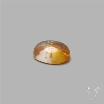 Bicolor Citrine Cabochon High Domed