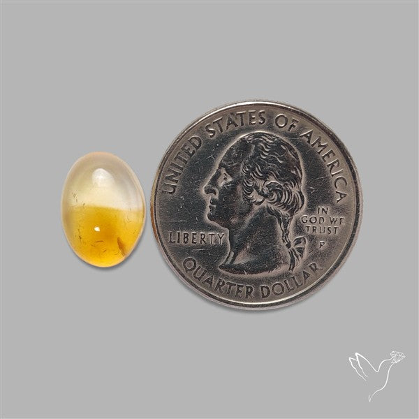 Bicolor Citrine Cabochon High Domed