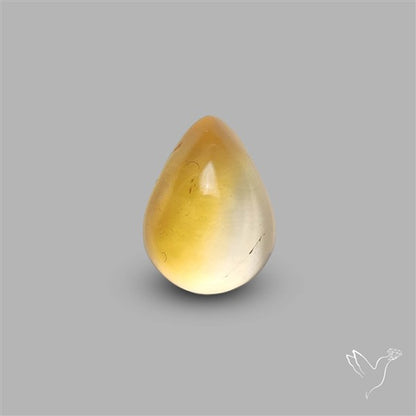 Bicolor Citrine Cabochon High Domed