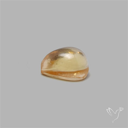 Bicolor Citrine Cabochon High Domed