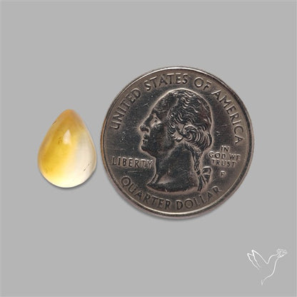 Bicolor Citrine Cabochon High Domed