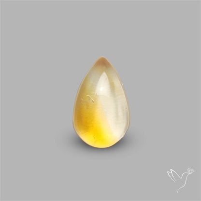 Bicolor Citrine Cabochon High Domed